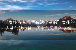 “泰州寺巷哪里有站小巷的”泰州的寺巷與站小巷，歷史與風(fēng)景的交織