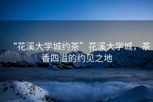 “花溪大學城約茶”花溪大學城，茶香四溢的約見之地