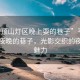 “平頂山燈區(qū)晚上耍的巷子”平頂山燈區(qū)夜晚的巷子，光影交織的夜生活魅力
