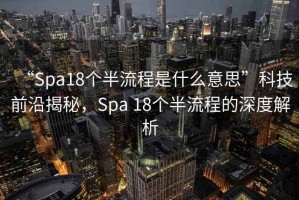 “Spa18個(gè)半流程是什么意思”科技前沿揭秘，Spa 18個(gè)半流程的深度解析