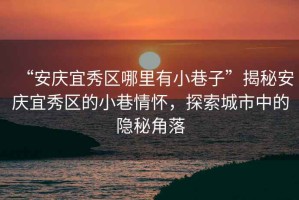 “安慶宜秀區(qū)哪里有小巷子”揭秘安慶宜秀區(qū)的小巷情懷，探索城市中的隱秘角落