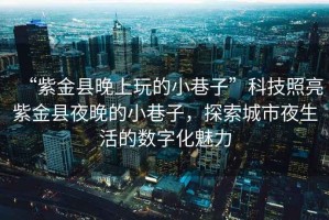 “紫金縣晚上玩的小巷子”科技照亮紫金縣夜晚的小巷子，探索城市夜生活的數(shù)字化魅力