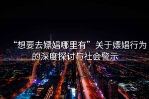 “想要去嫖娼哪里有”關(guān)于嫖娼行為的深度探討與社會警示
