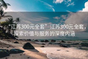 “江蘇300元全套”江蘇300元全套，探索價值與服務的深度內(nèi)涵