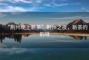 “荊州晚上新茶”荊州之夜，新茶的韻味