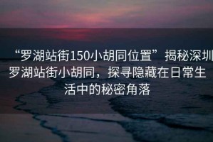 “羅湖站街150小胡同位置”揭秘深圳羅湖站街小胡同，探尋隱藏在日常生活中的秘密角落