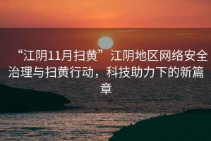 “江陰11月掃黃”江陰地區(qū)網(wǎng)絡(luò)安全治理與掃黃行動，科技助力下的新篇章
