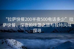 “拉薩快餐200半夜500電話多少”拉薩快餐，深夜的味蕾之旅與獨特風(fēng)味探尋
