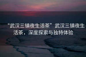 “武漢三鎮(zhèn)夜生活茶”武漢三鎮(zhèn)夜生活茶，深度探索與獨特體驗