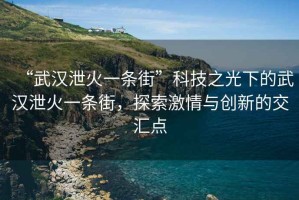 “武漢泄火一條街”科技之光下的武漢泄火一條街，探索激情與創(chuàng)新的交匯點