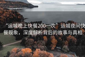 “運(yùn)城晚上快餐200一次”運(yùn)城夜間快餐現(xiàn)象，深度解析背后的故事與真相