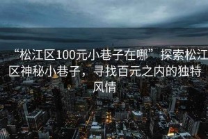 “松江區(qū)100元小巷子在哪”探索松江區(qū)神秘小巷子，尋找百元之內(nèi)的獨(dú)特風(fēng)情
