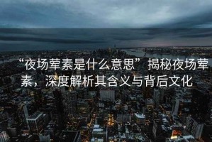 “夜場葷素是什么意思”揭秘夜場葷素，深度解析其含義與背后文化