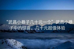 “武昌小巷子幾十元一個(gè)”武昌小巷子中的驚喜，幾十元超值體驗(yàn)