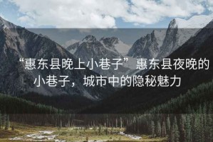 “惠東縣晚上小巷子”惠東縣夜晚的小巷子，城市中的隱秘魅力