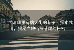 “武清哪里有站大街的巷子”探索武清，揭秘當(dāng)?shù)亟诸^巷尾的秘密