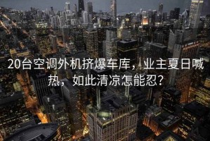 20臺(tái)空調(diào)外機(jī)擠爆車庫，業(yè)主夏日喊熱，如此清涼怎能忍？