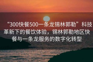 “300快餐500一條龍錫林郭勒”科技革新下的餐飲體驗(yàn)，錫林郭勒地區(qū)快餐與一條龍服務(wù)的數(shù)字化轉(zhuǎn)型