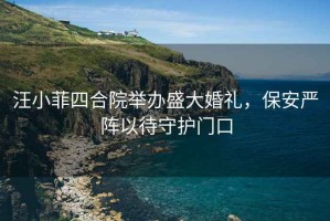 汪小菲四合院舉辦盛大婚禮，保安嚴陣以待守護門口