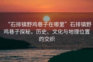 “石排鎮(zhèn)野雞巷子在哪里”石排鎮(zhèn)野雞巷子探秘，歷史、文化與地理位置的交織