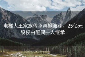 電梯大王家族傳承再掀波瀾，25億元股權(quán)由配偶一人繼承
