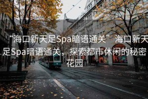 “?？谛绿熳鉙pa暗語通關(guān)”?？谛绿熳鉙pa暗語通關(guān)，探索都市休閑的秘密花園