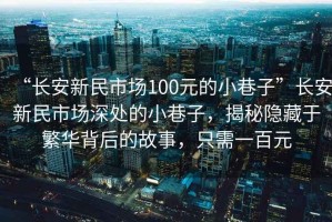 “長安新民市場100元的小巷子”長安新民市場深處的小巷子，揭秘隱藏于繁華背后的故事，只需一百元
