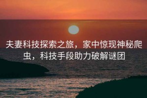 夫妻科技探索之旅，家中驚現(xiàn)神秘爬蟲(chóng)，科技手段助力破解謎團(tuán)