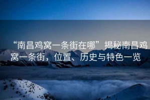“南昌雞窩一條街在哪”揭秘南昌雞窩一條街，位置、歷史與特色一覽