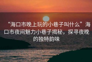 “?？谑型砩贤娴男∠镒咏惺裁础焙？谑幸归g魅力小巷子揭秘，探尋夜晚的獨特韻味