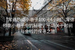 “常德橋南小巷子100元4小時”常德橋南小巷子中的秘密，一場關(guān)于時間與金錢的探尋之旅