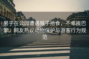 男子在公園遭遇猴子搶食，不幸挨巴掌，網(wǎng)友熱議動物保護與游客行為規(guī)范