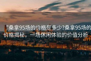 “桑拿95場的價格是多少?桑拿95場的價格揭秘，一場休閑體驗的價值分析