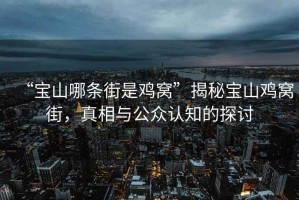 “寶山哪條街是雞窩”揭秘寶山雞窩街，真相與公眾認(rèn)知的探討