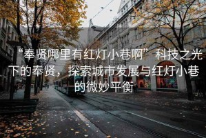 “奉賢哪里有紅燈小巷啊”科技之光下的奉賢，探索城市發(fā)展與紅燈小巷的微妙平衡