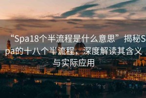 “Spa18個半流程是什么意思”揭秘Spa的十八個半流程，深度解讀其含義與實際應(yīng)用