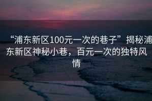 “浦東新區(qū)100元一次的巷子”揭秘浦東新區(qū)神秘小巷，百元一次的獨(dú)特風(fēng)情