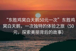 “東勝雞窩白天鵝50元一次”東勝雞窩白天鵝，一次獨特的體驗之旅（50元，探索美麗背后的故事）