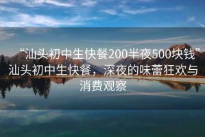 “汕頭初中生快餐200半夜500塊錢”汕頭初中生快餐，深夜的味蕾狂歡與消費觀察