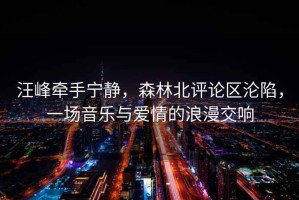汪峰牽手寧?kù)o，森林北評(píng)論區(qū)淪陷，一場(chǎng)音樂(lè)與愛(ài)情的浪漫交響
