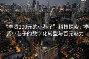 “奉賢100元的小巷子”科技探索，奉賢小巷子的數(shù)字化轉(zhuǎn)型與百元魅力