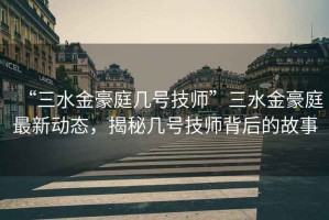 “三水金豪庭幾號技師”三水金豪庭最新動態(tài)，揭秘幾號技師背后的故事