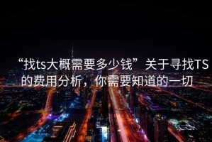 “找ts大概需要多少錢”關(guān)于尋找TS的費(fèi)用分析，你需要知道的一切