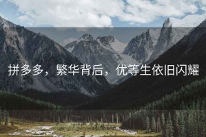 拼多多，繁華背后，優(yōu)等生依舊閃耀