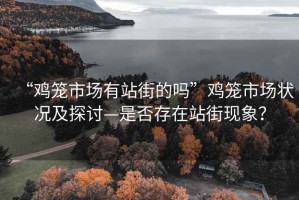 “雞籠市場(chǎng)有站街的嗎”雞籠市場(chǎng)狀況及探討—是否存在站街現(xiàn)象？