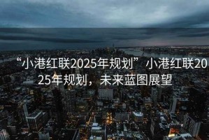 “小港紅聯(lián)2025年規(guī)劃”小港紅聯(lián)2025年規(guī)劃，未來藍圖展望