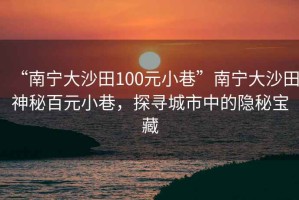 “南寧大沙田100元小巷”南寧大沙田神秘百元小巷，探尋城市中的隱秘寶藏