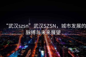 “武漢szsn”武漢SZSN，城市發(fā)展的脈搏與未來展望