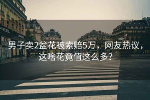 男子賣2盆花被索賠5萬，網(wǎng)友熱議，這啥花竟值這么多？