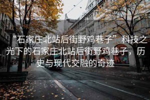 “石家莊北站后街野雞巷子”科技之光下的石家莊北站后街野雞巷子，歷史與現(xiàn)代交融的奇跡